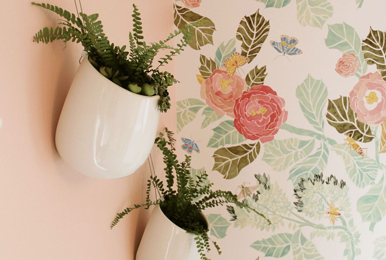 Read more about the article Wallpaper Repair & Removal